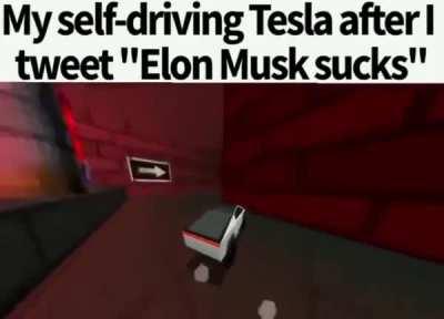 Elon Musk punishment
