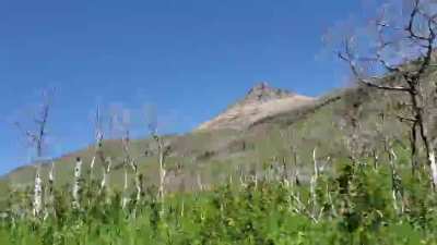 ITAV of the pretty scene ...