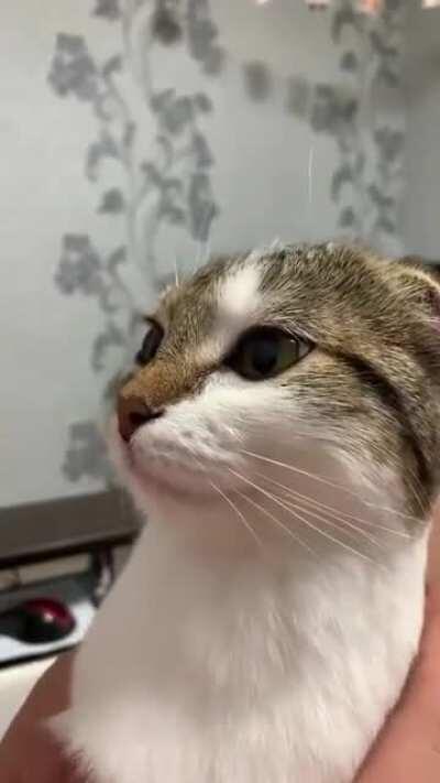 sadistliğim tuttu iftara kadar işkence çektirmek istiyom size hahaah