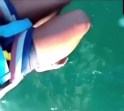 Landing in a school of jelly fish