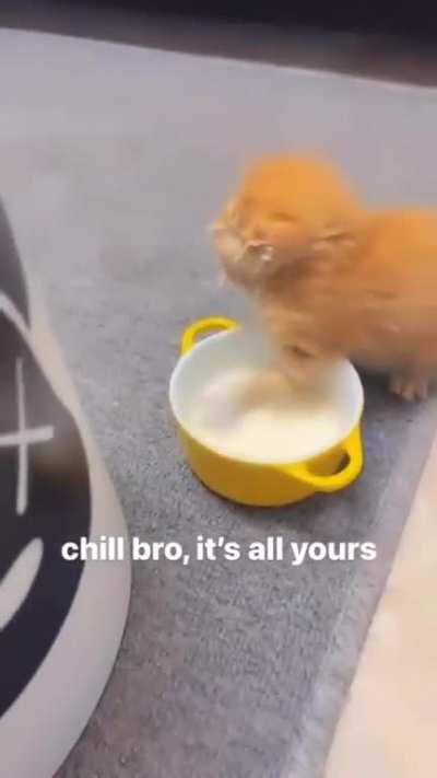 Cuando te pide el oral con amor pero no has comido en 1 año