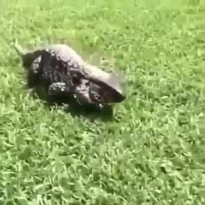 В рот мне дышло!