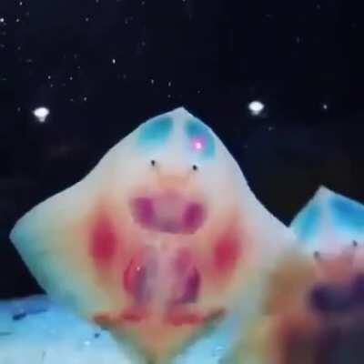 Скатский сад