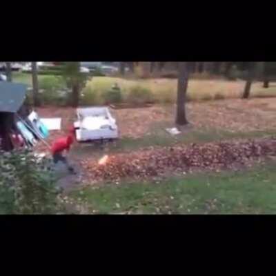 Just clearing the leaves