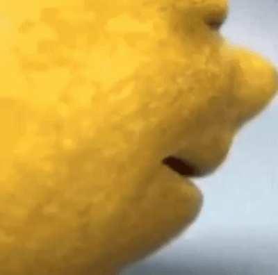 tip 34: allow your lemon to mutter its last words