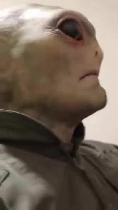 blursed_alpha centaurian