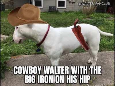 who will he shoot???