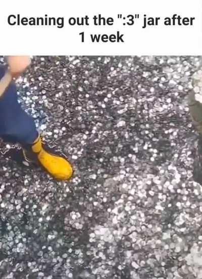 I can't hold back the urge to 