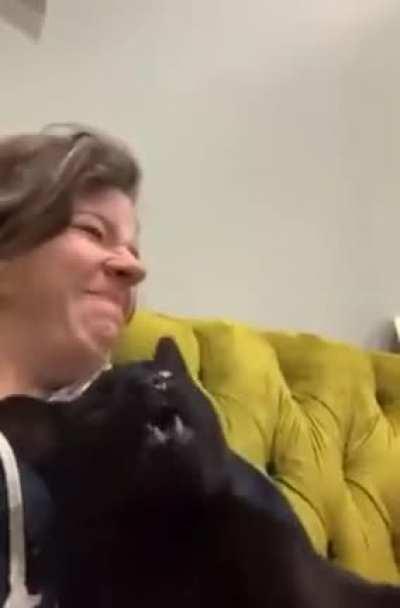 Будь здоров котэ