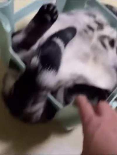 ChOnKeR gOt TrApPeD iN INhUmAnE TrAp