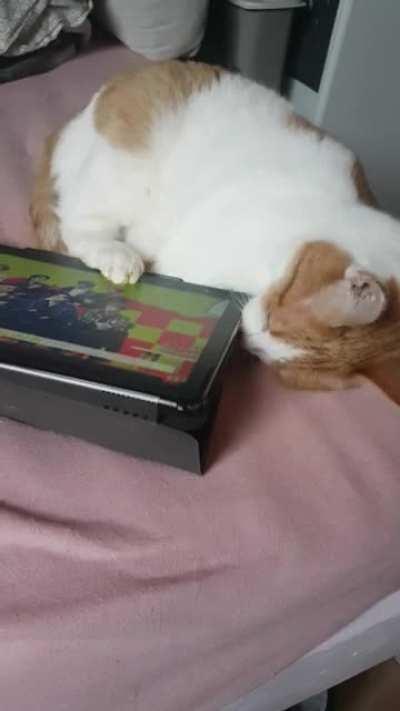 I guess the tablet belongs to her now