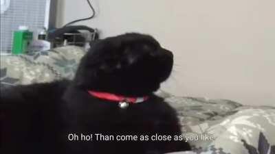 Made this and hope you like, my video  