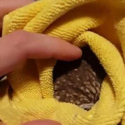 Is this what you want Reddit?