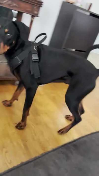 He wouldn’t scream, I’ll record sometime 