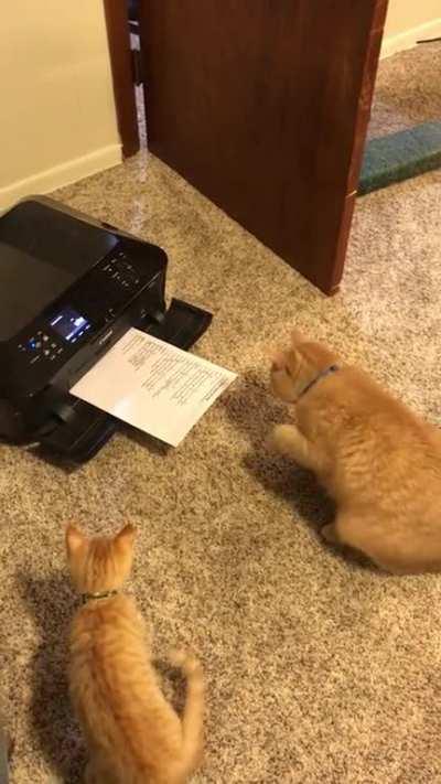 Stand back little one! I'll protect you!