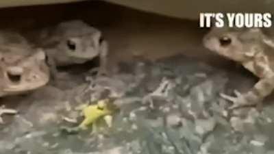 it's Wednesday my dude 😎