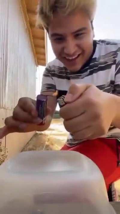 How Stupid Can You Be