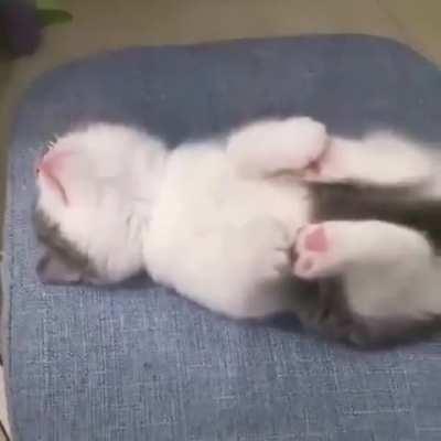 He holds his paws while he sleeps