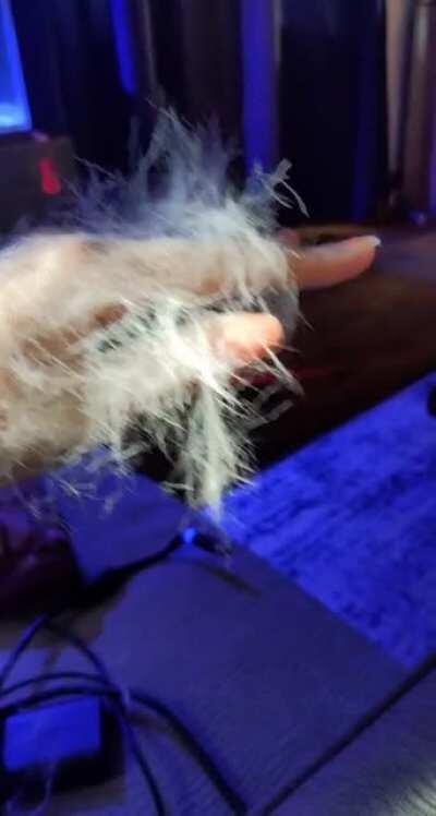 I think he's shedding