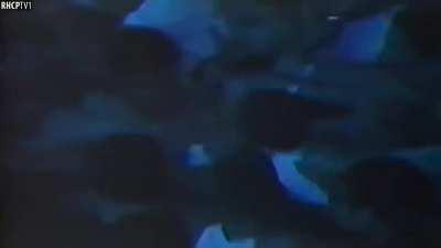 Flea knows how to solve problems.