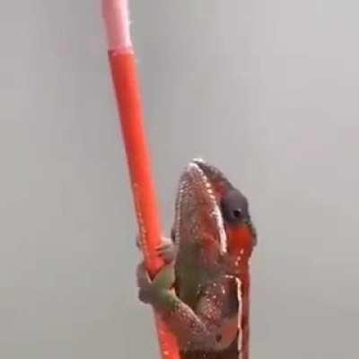 Resumen de la carrera política de Sergio Massa