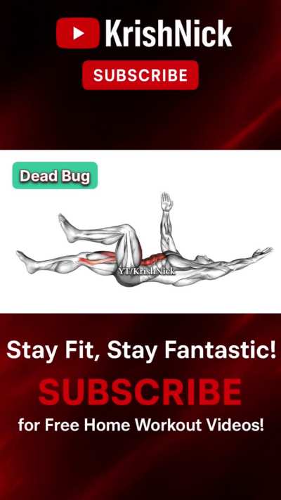 Dead Bug Exercise for Stronger Core & Stability
