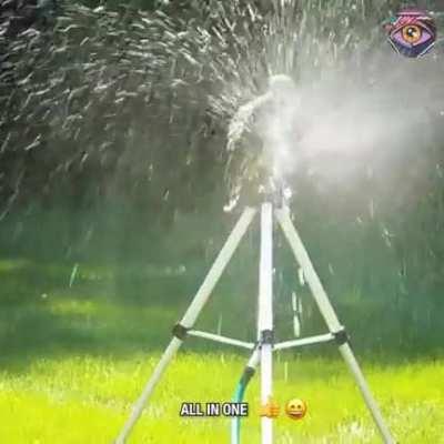 Hawk sitting on sprinkler 