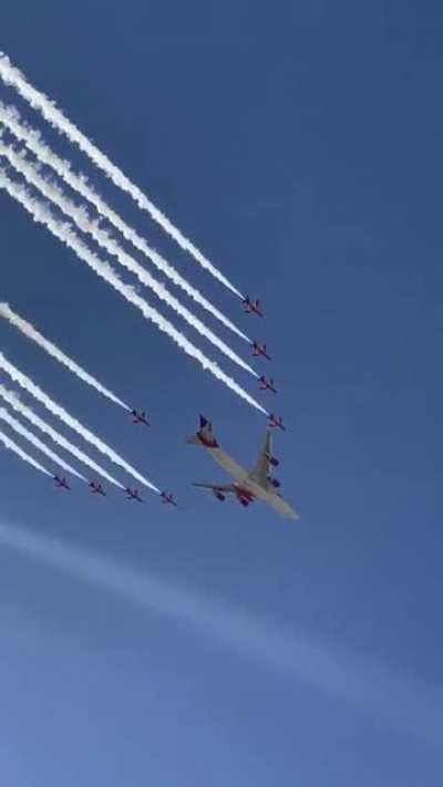 WHAT A LOVELY LITTER OF JITTENS