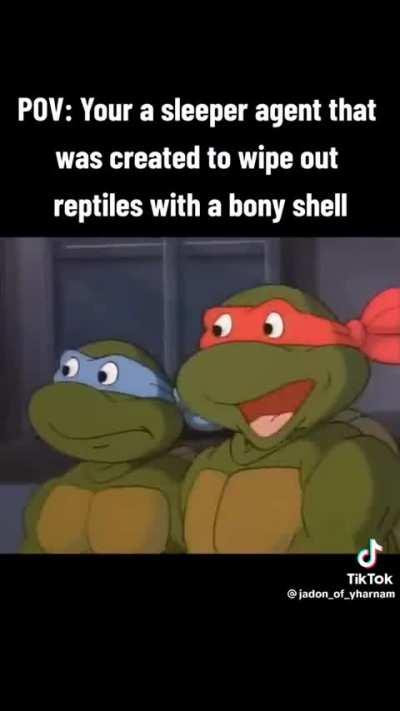 YOU ARE A SLEEPER AGENT WAKE UP