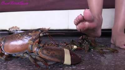 Hot Latina flattens Lobsters, her nasty Laugh OMG that's so good