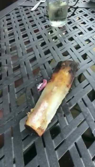 Where there is a will…