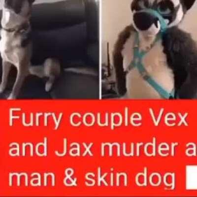 Furrys mal😡 invadir bolivia bien👍