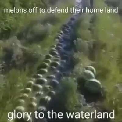 The Great Watermelon Race is off to Defend!