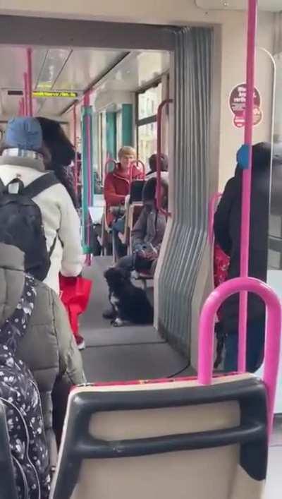 Sach mal, das ist hier ne Straßenbahn!