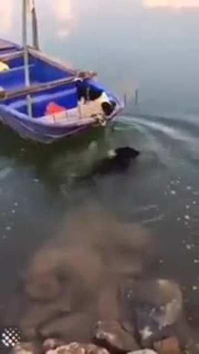 Human won’t help but I will.