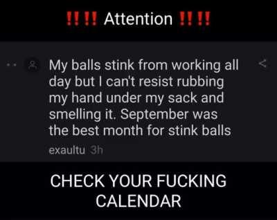 The most wonderful time of the year