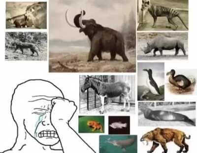 I have loved you 10 thousand years