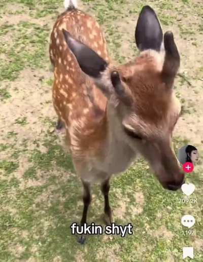 Live nokotan reaction