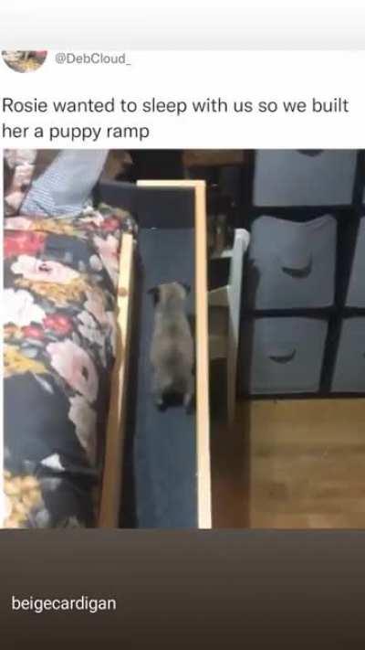 bruh dis made my day