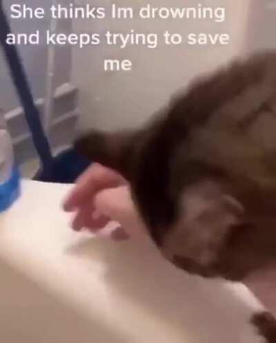 To save a hooman from drowning