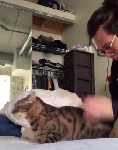 Through the Fire and Flames bongos