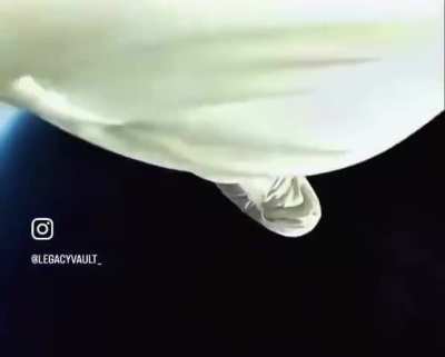 Near the edge of space, Felix Baumgartner stepped into the void with nothing but a pressurized suit between him and death.