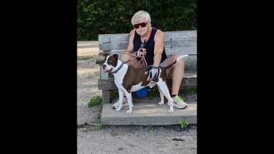 Sonnet 36 by William Shakespeare as spoken by Larry Hollman