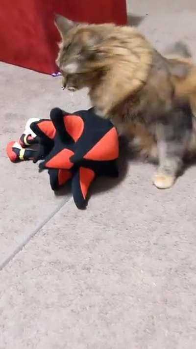 Shadow vs Blaze 2021, colorized