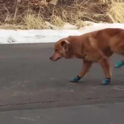 Not a fan of the booties