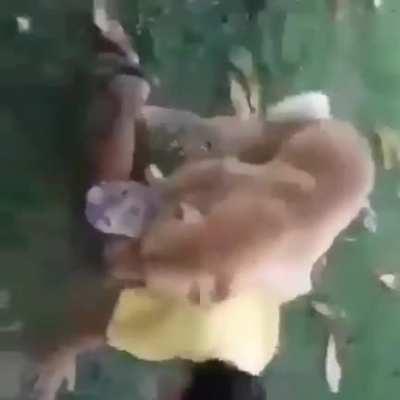 💖Eu te amo caramelo kkkkk💖 (Renan o cara mais charmoso do YouTube 🙌🙌)