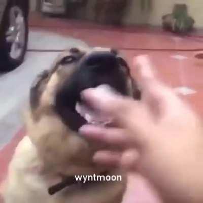 GET. THE HELL. OUT OF HERE!