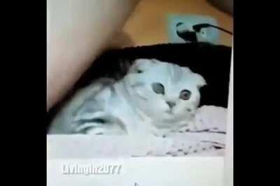 What has been seen cannot be unseen