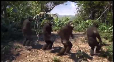 Hedgies get fuk and rek. We just getting started 💅🏼