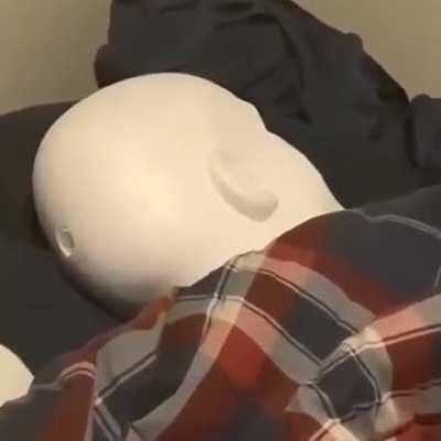 [haiku] Paul wake up